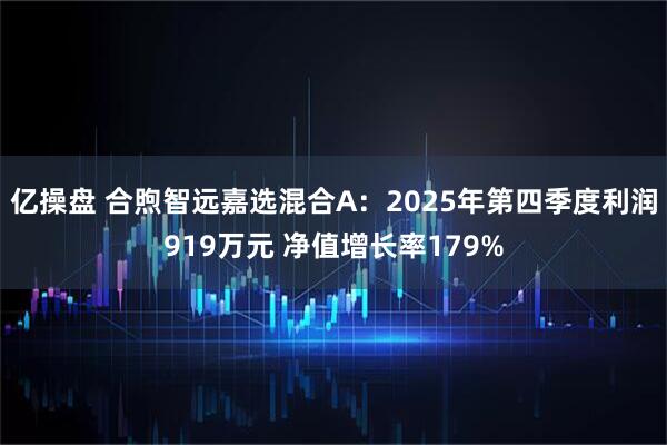 亿操盘 合煦智远嘉选混合A：2025年第四季度利润919万元 净值增长率179%
